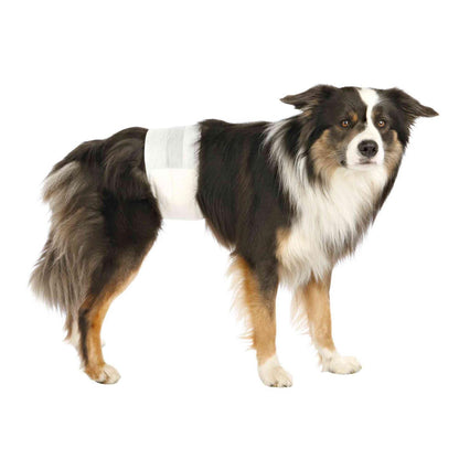 Trixie 12 Pañales para Perro Macho S-M 30-46 cm