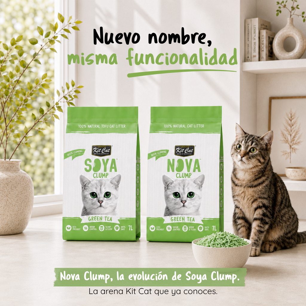 Kit Cat Arena Eco SoyaClump – Green Tea 7 l Katzenstreu