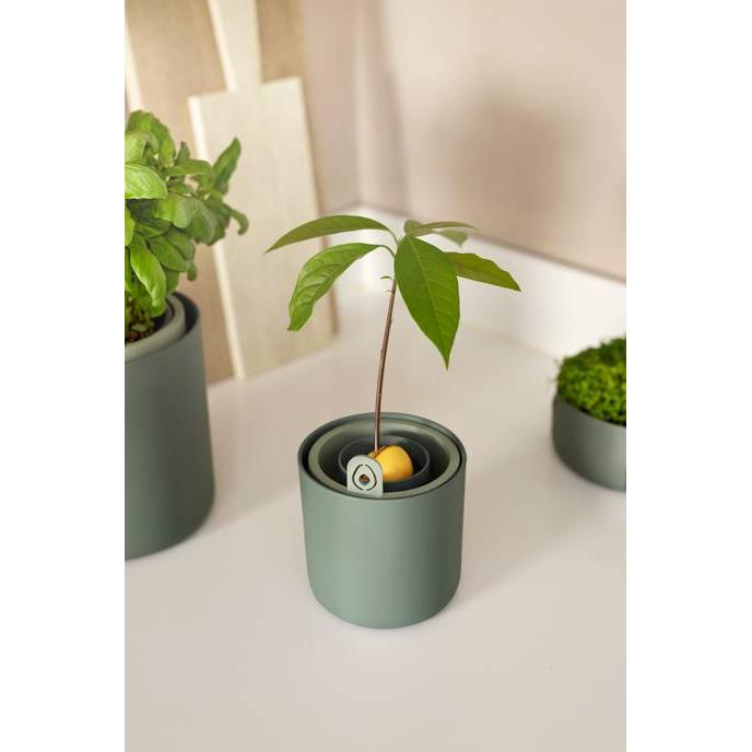 Maceta germinadora de aguacates Amazing Avocado Elho Verde