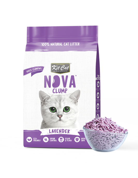 Katzenstreu-Set Eco SoyaClump – Lavendel 7 l Katzenstreu