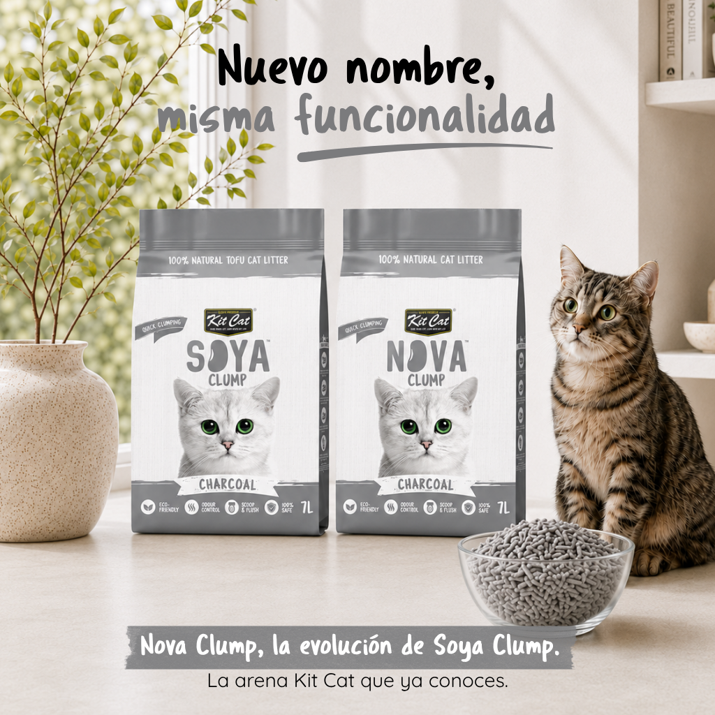 Katzenstreu-Set Eco SoyaClump – Charcoal 7 l Katzenstreu