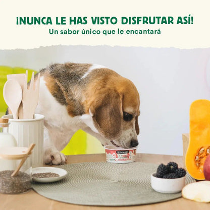 Yogur Helado de Mora con Prebióticos Naturales Wild Balance 110 g