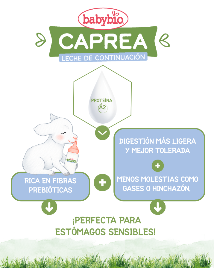 Pack 2x Leche de Cabra Caprea 2 Babybio 800 g