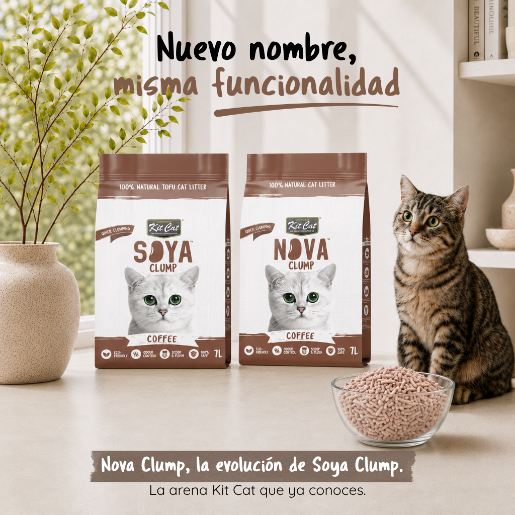 Kit Cat Arena Eco SoyaClump – Coffee 7 l Katzenstreu