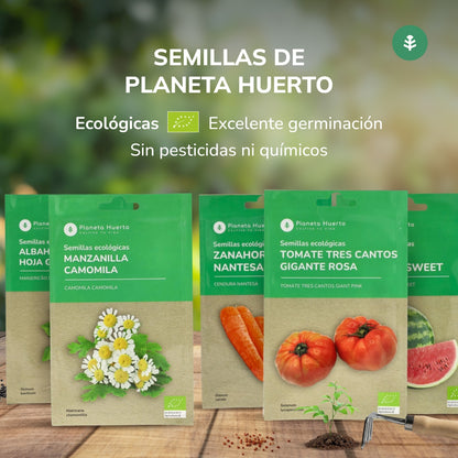 Semillas de Pepino marketmore ecológicas Planeta Huerto