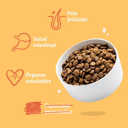 Hundefutter Freilandhuhn Edgard &amp; Cooper 1 kg