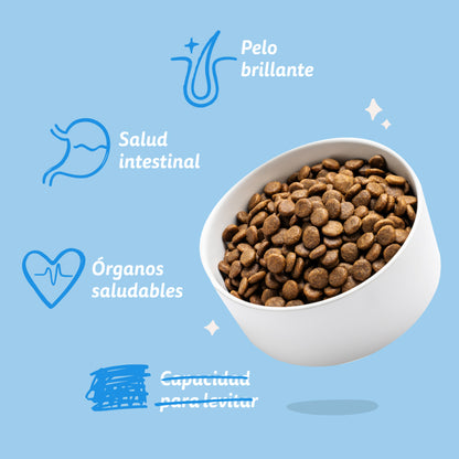 Hundefutter Norwegischer Lachs Edgard &amp; Cooper 1 kg