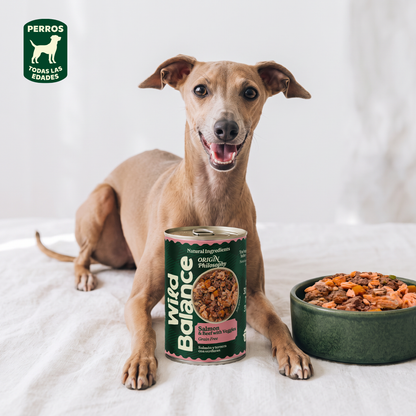Dose Lachs und Rindfleisch BARF für Hunde Wild Balance 400 g