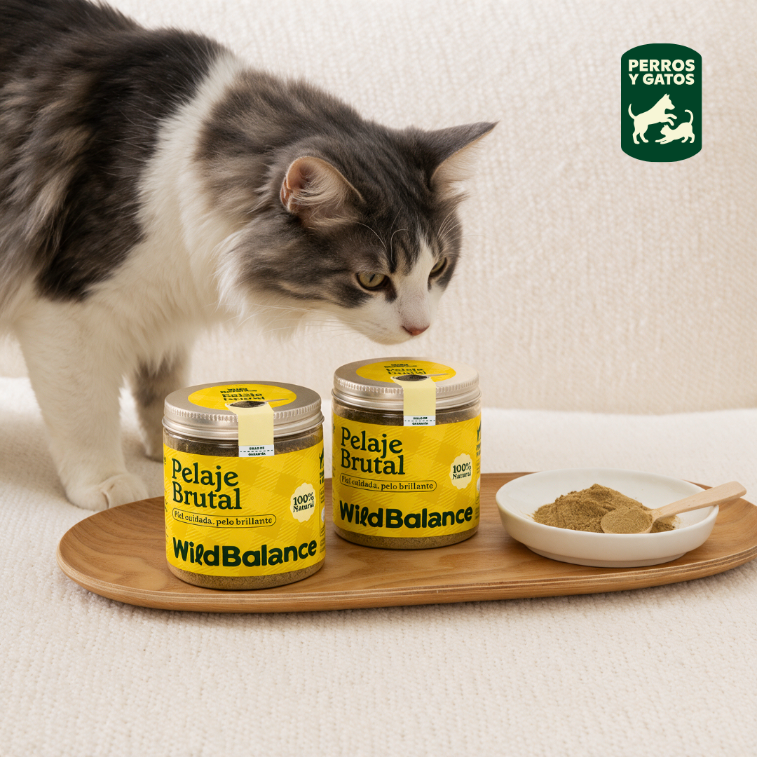 Brutal Fell Ergänzungsfuttermittel für Haustiere Wild Balance 100 g