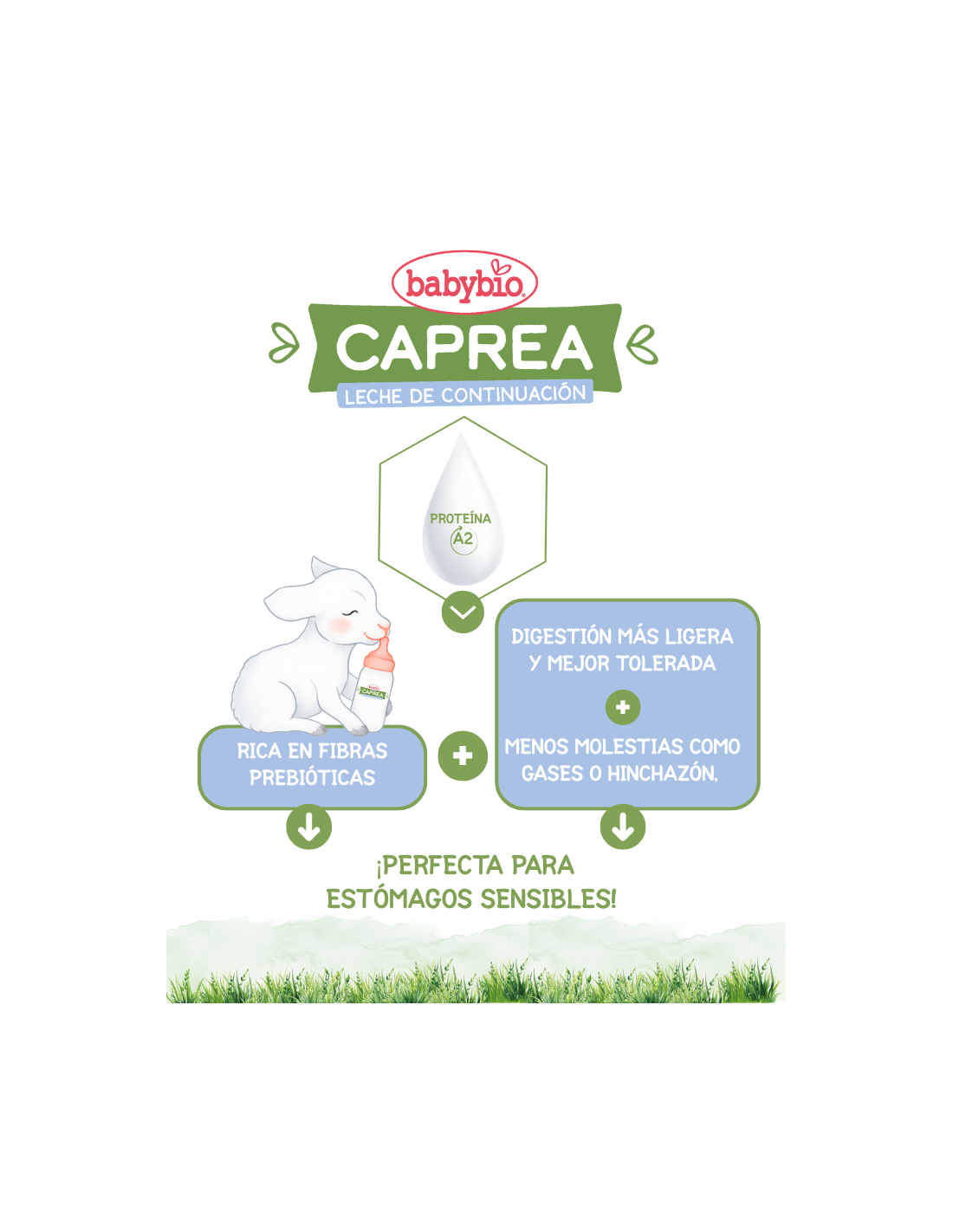 Bio-Ziegenmilch Caprea 1 (0 bis 6 Monate) ökologisch Babybio 400 g