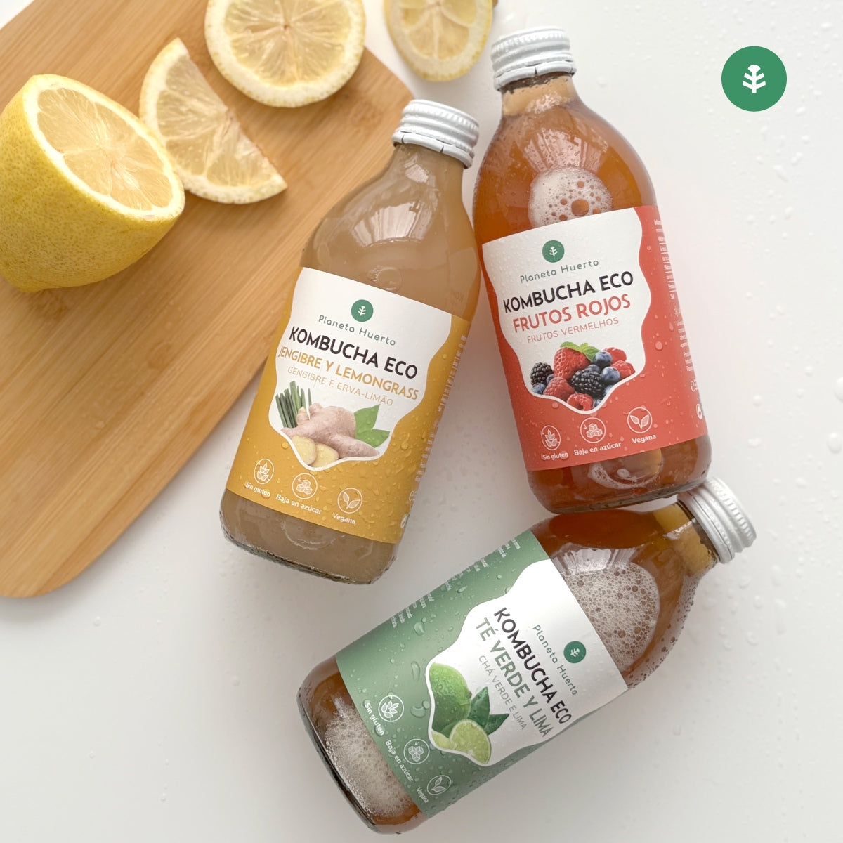 Pack 6x Kombucha ECO Frutos rojos Planeta Huerto 330 ml