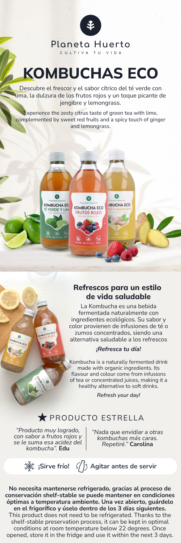 12er-Pack Kombucha ECO Grüner Tee und Limette Planeta Huerto 330 ml