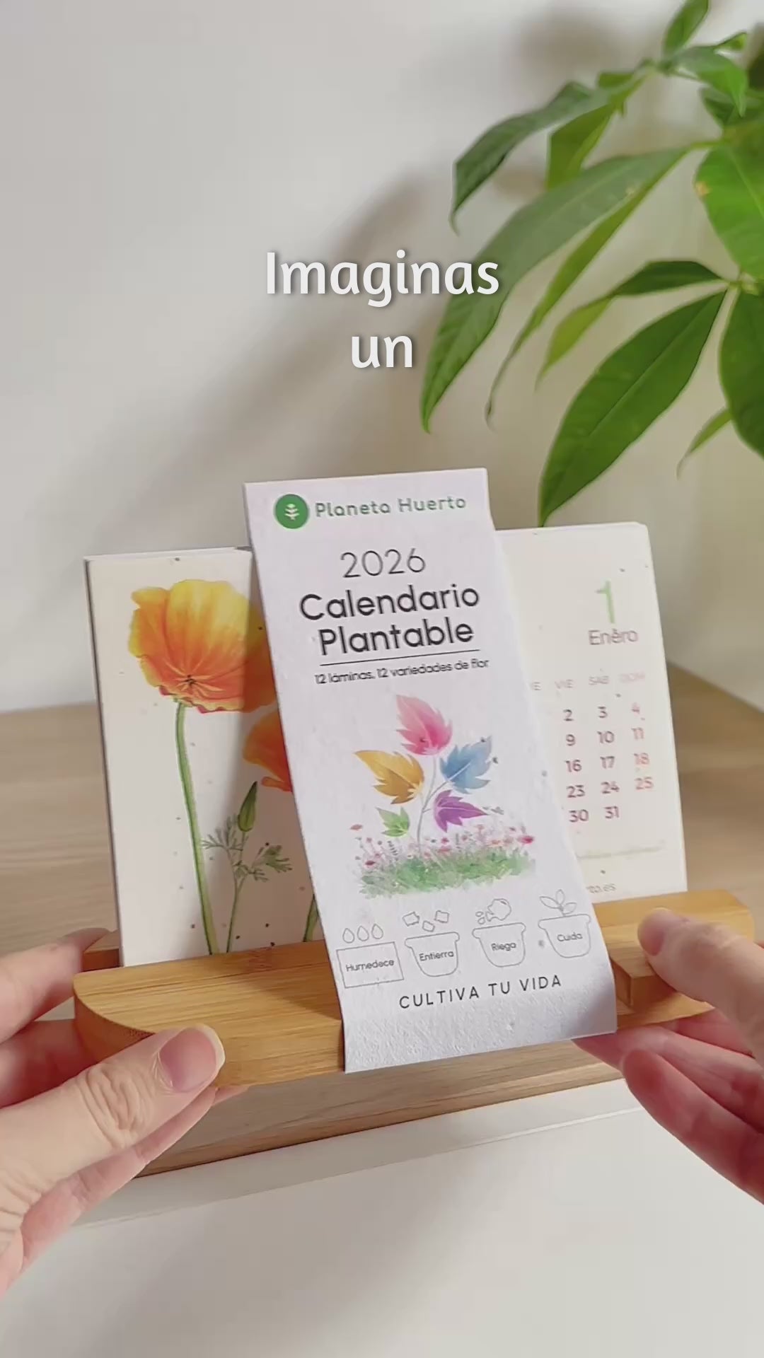 Bepflanzbarer Kalender 2025 Planet Orchard Zeit in Natur verwandeln
